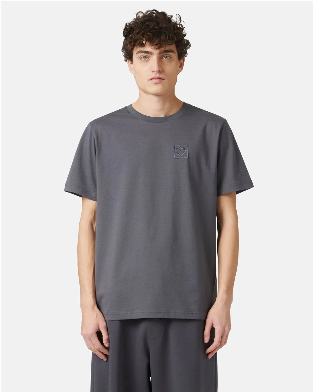 Cotton T-shirt with logo (Grey) - I24F02E63278784