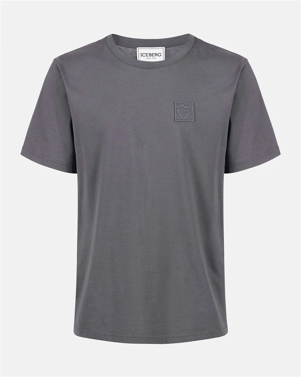 Cotton T-shirt with logo (Grey) - I24F02E63278784