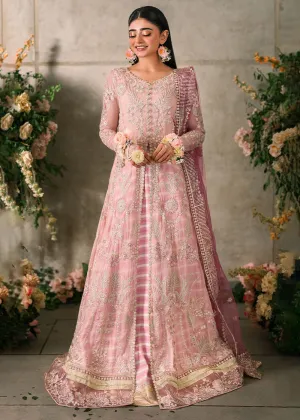 Mastani Evening Luxury Chiffon '24 by Mushq | Maisha
